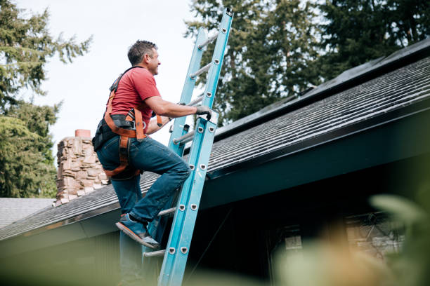 Best Roof Maintenance and Cleaning  in Hughestown, PA